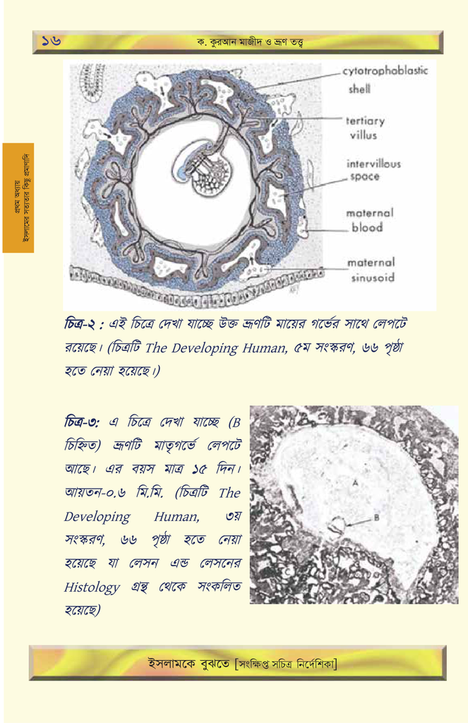 ইসলামকে বুঝতে7.jpg