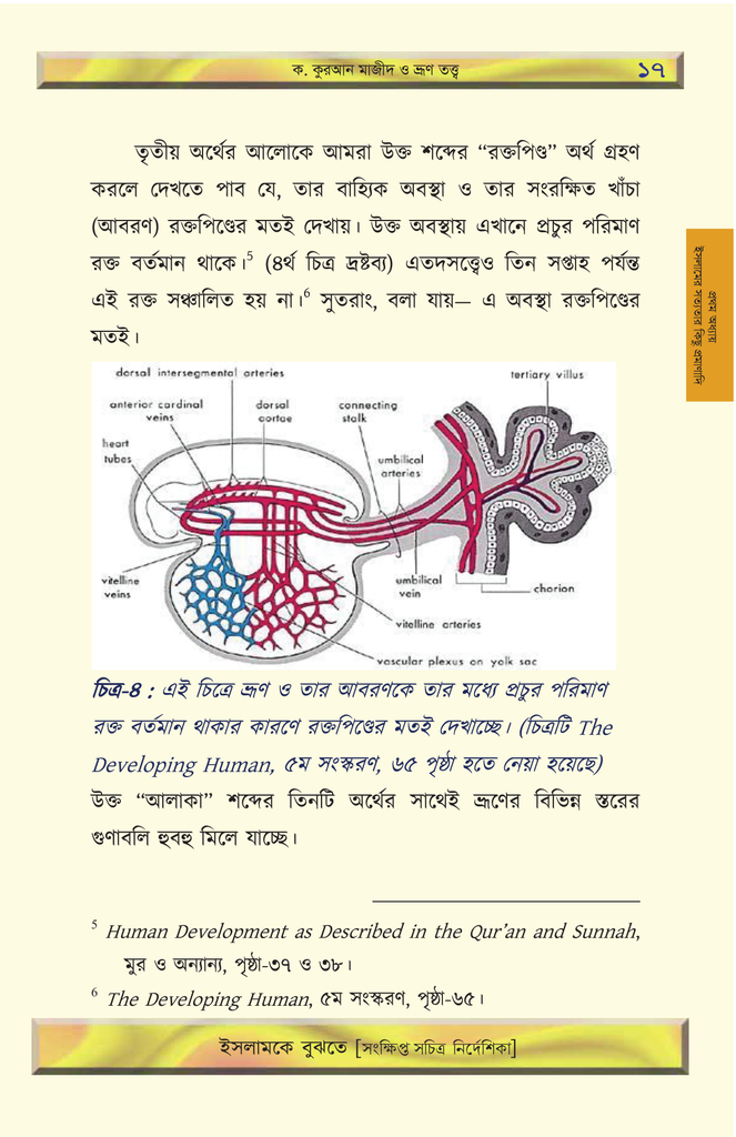 ইসলামকে বুঝতে8.jpg