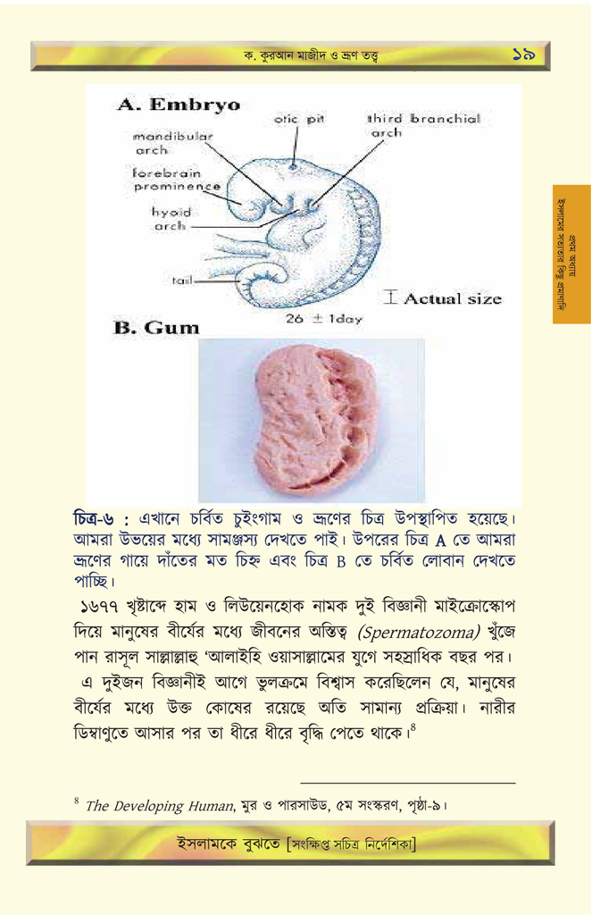 ইসলামকে বুঝতে9.jpg