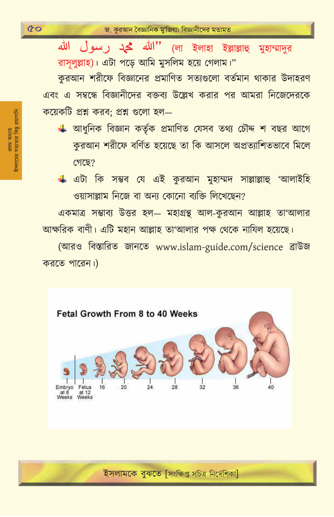 ইসলামকে বুঝতে11.jpg