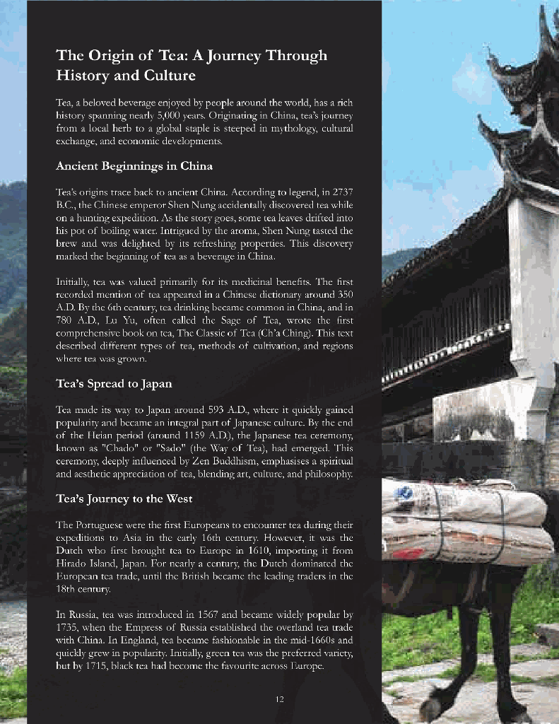 Tracing The Tea Trails11.jpg
