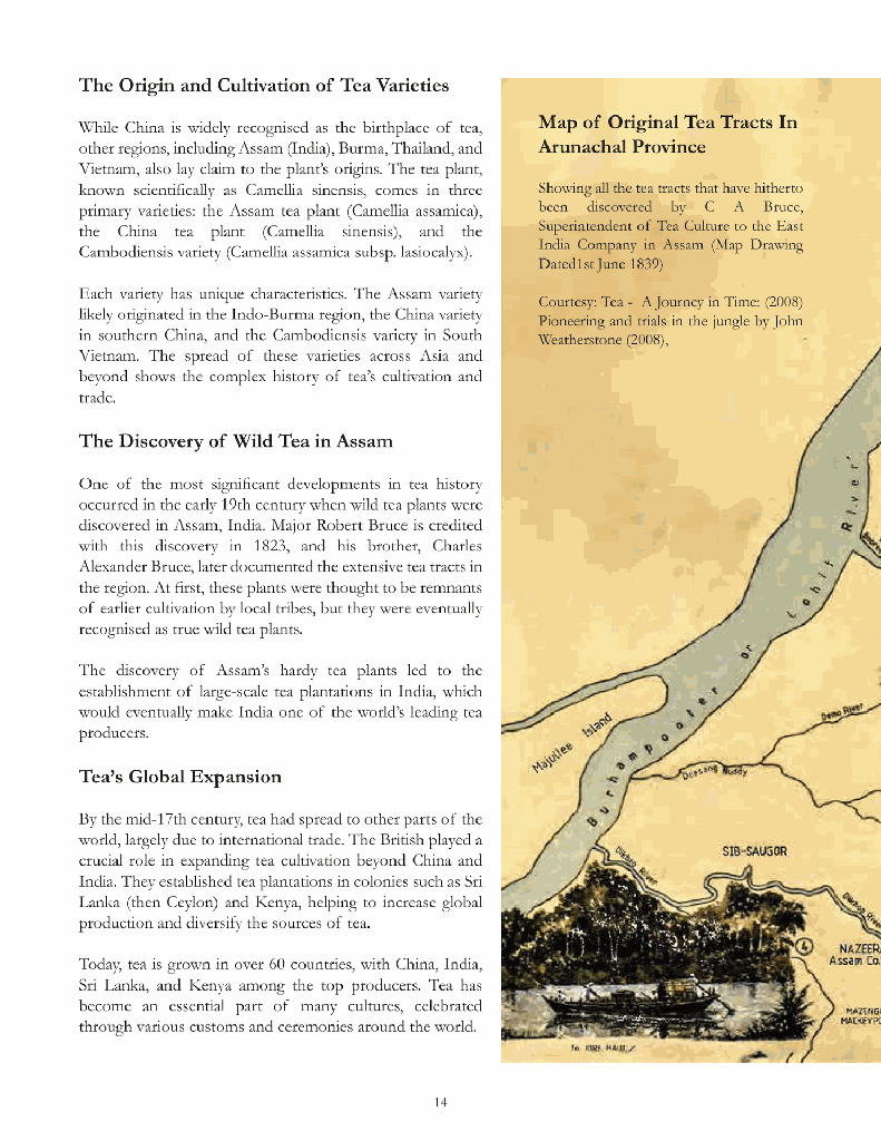 Tracing The Tea Trails13.jpg