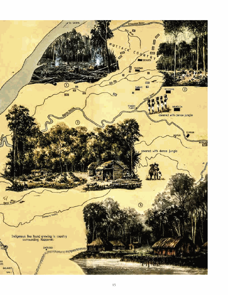 Tracing The Tea Trails14.jpg