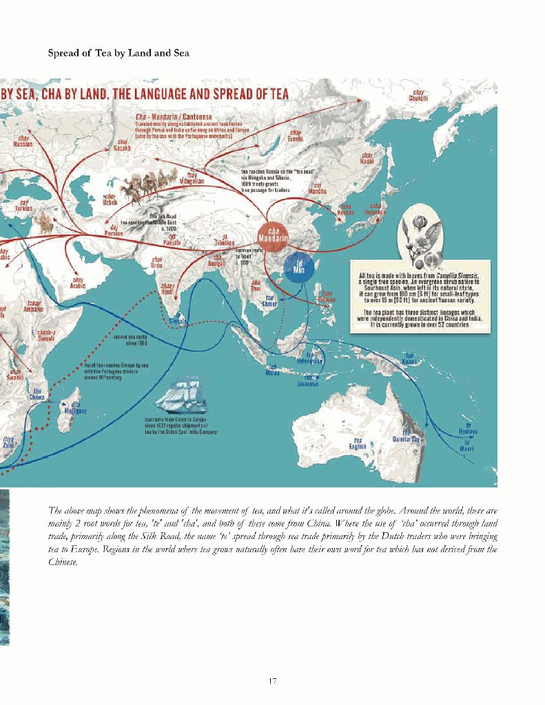 Tracing The Tea Trails16.jpg