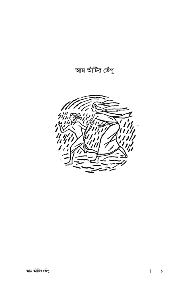 আম আঁটির ভেঁপু1.jpg
