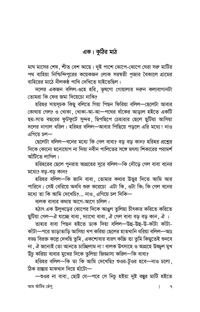 আম আঁটির ভেঁপু5.jpg