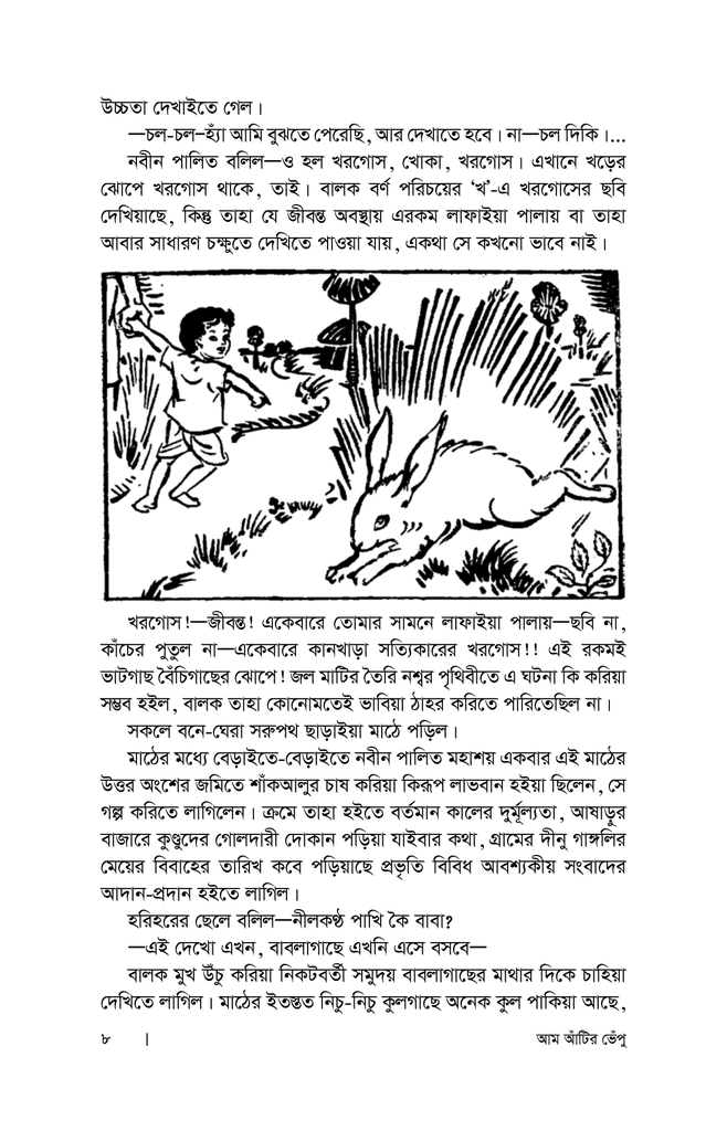 আম আঁটির ভেঁপু6.jpg