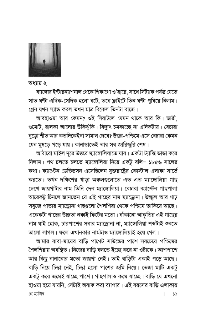 গ্রে ম্যাটার7.jpg