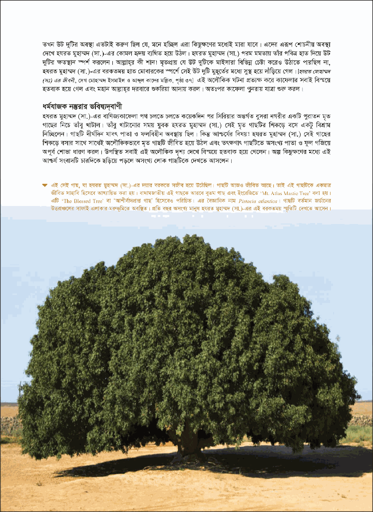 স্মৃতি মোবারক : হযরত মুহাম্মদ (সা.) ও আহলে বাইতের জীবনী16.jpg