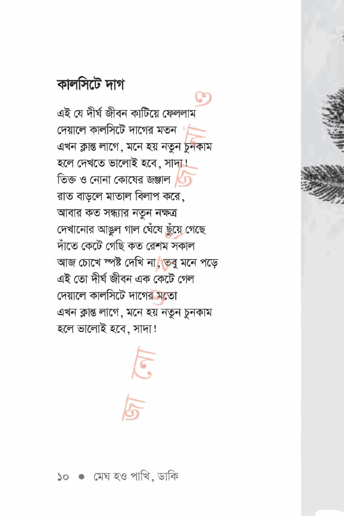 মেঘ হও পাখি, ডাকি6.jpg