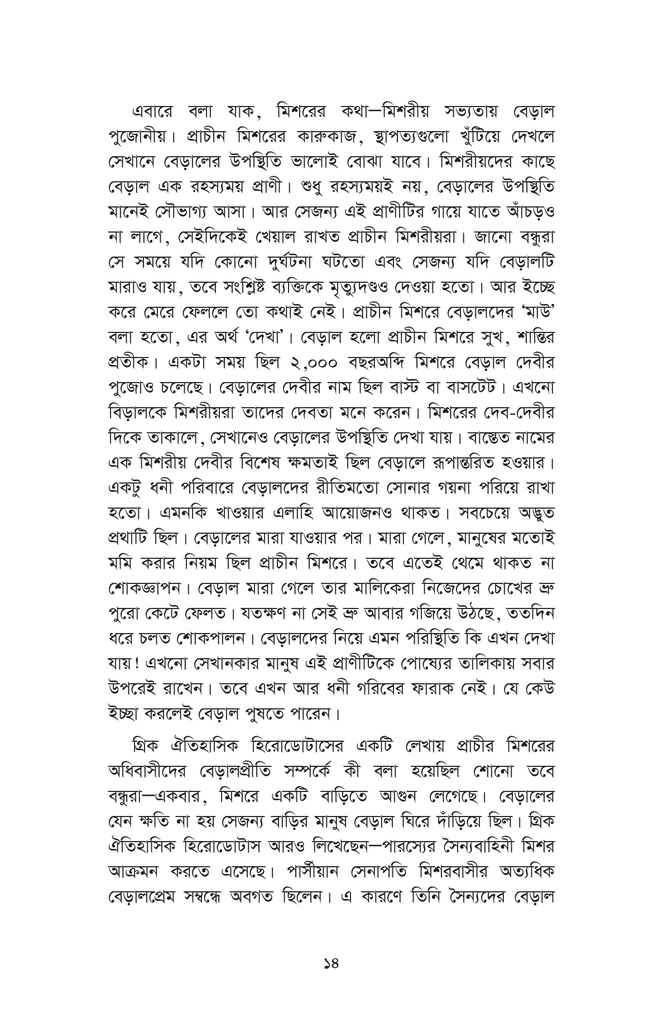 সারাদিন বেড়ালের সঙ্গে7.jpg