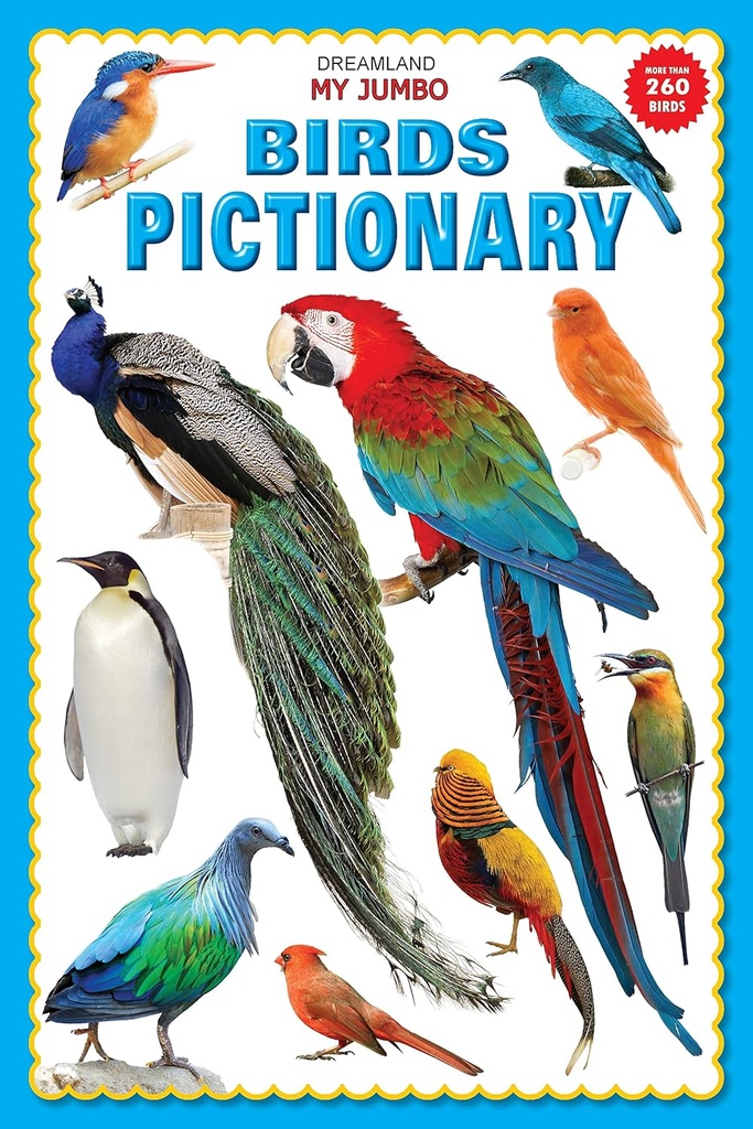 my jumbo birds pictionary 