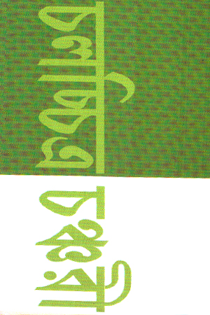 চলচ্চিত্র চঞ্চরী