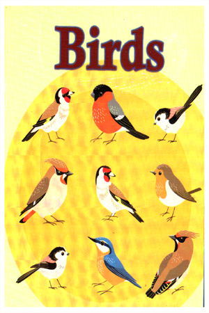 Birds