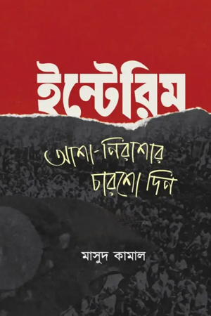 ইন্টেরিম: আশা-নিরাশার চারশো দিন