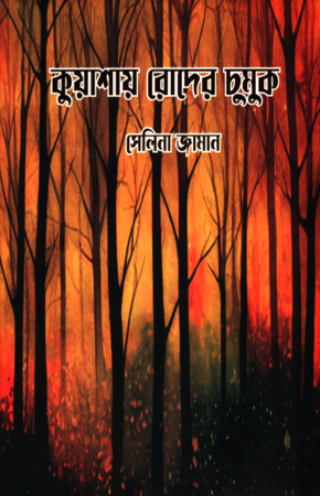 কুয়াশায় রোদের চুমুক