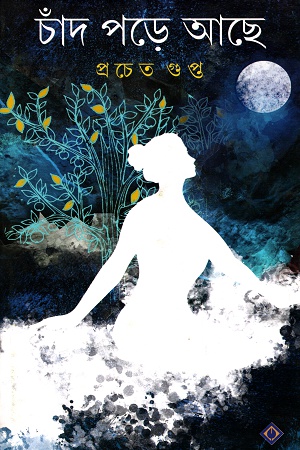 চাঁদ পড়ে আছে