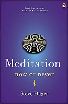 Meditation Now or Never