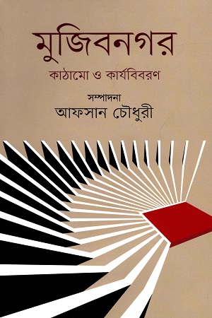 মুজিবনগর: কাঠামাে ও কার্যবিবরণ