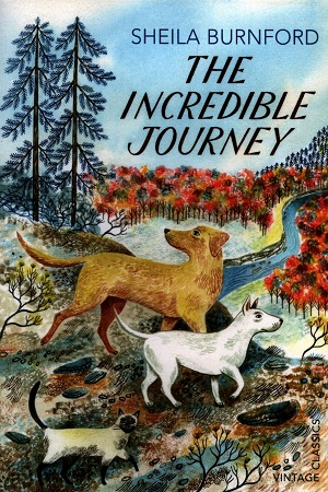 The Incredible Journey