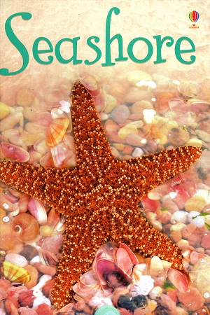 Seashore (Usborne Beginners)