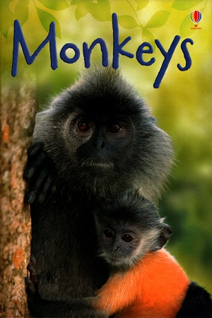 Monkeys (Beginners)