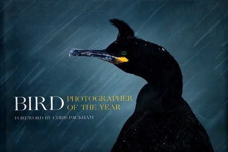 Bird Photographer of the Year