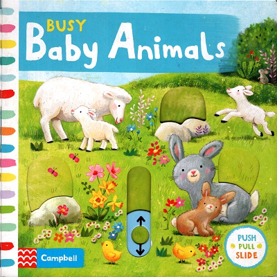 Busy Baby Animals: Push Pull Slide