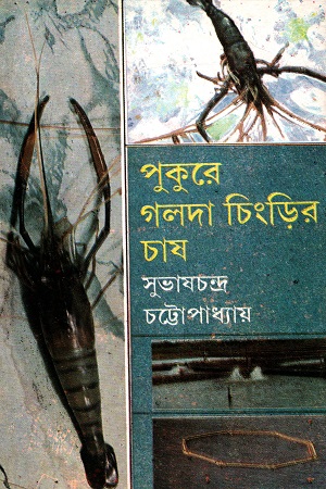 পুকুরে গলদা চিংড়ির চাষ