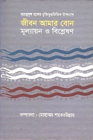জীবন আমার বোন : মূল্যায়ণ ও বিশ্লেষণ