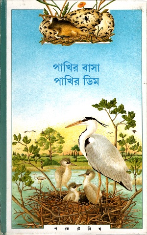 পাখির বাসা পাখির ডিম