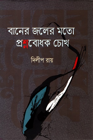 বানের জলের মতো প্রশ্নবোধক চোখ