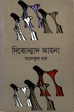 দিব্যোন্মাদ আয়না