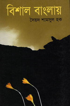 বিশাল বাংলায়
