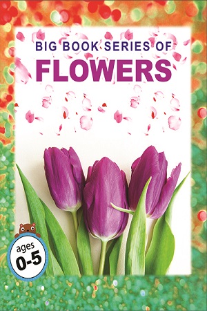 Big Book Series of Flowers (0 - 5 years)