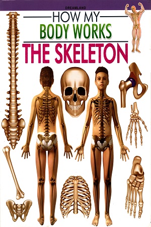 How My Body Works: The Skeleton