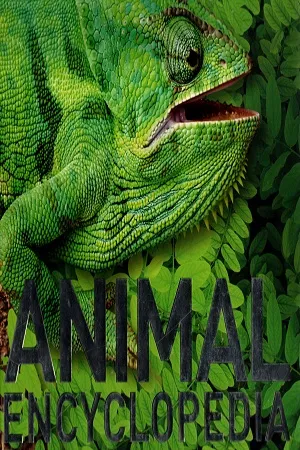 Animal EncyclopediaThe Definitive Visual Guide