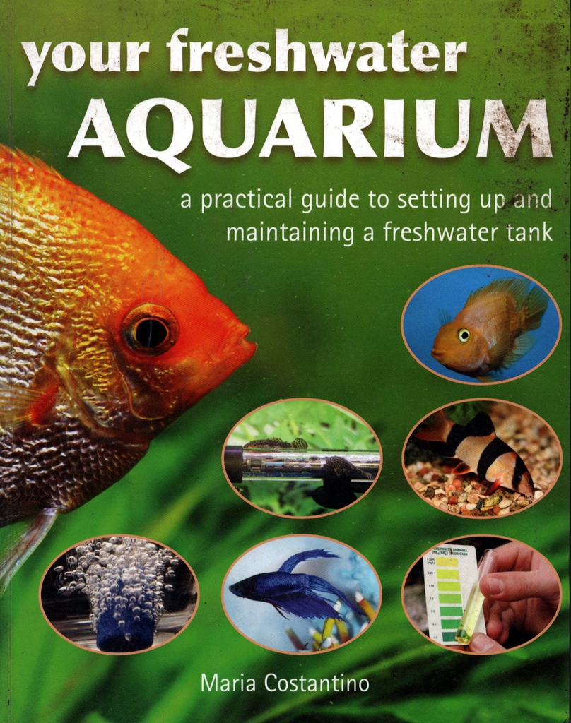 Your Freshwater Aquarium