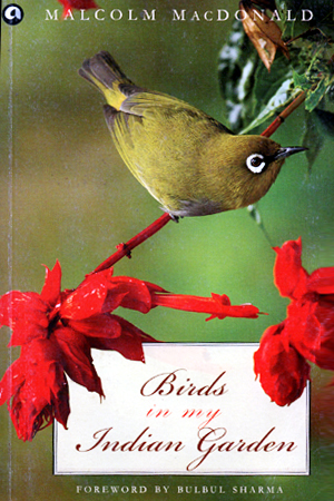 Birds in my indian garden