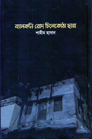 ব্যালকনি রোদ চিলেকোঠা ছায়া