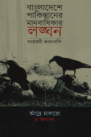 বাংলাদেশে পাকিস্তানের মানবাধিকার লঙ্ঘন : কয়েকটি জবানবন্দি