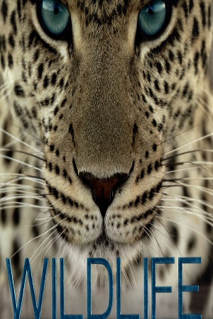 Wildlife The Definitive Visual Guide To Animals Life on Every Continent