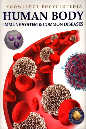 Human Body: Immune System & Common Diseases