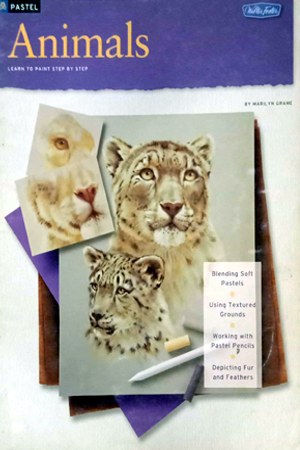 Animals (How to Draw and Paint Series)