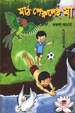 মাঠ পেরুলেই বাড়ি