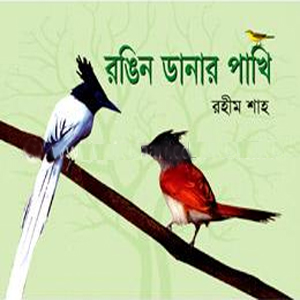 রঙিন ডানার পাখি