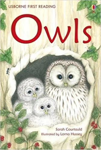 Owls - Level 4