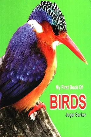 My First Book Of Birds