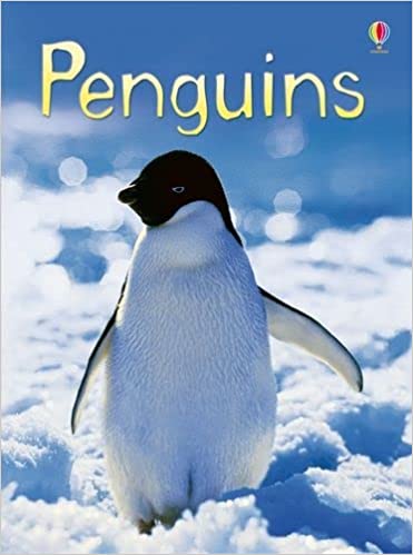 Penguins (Beginners)