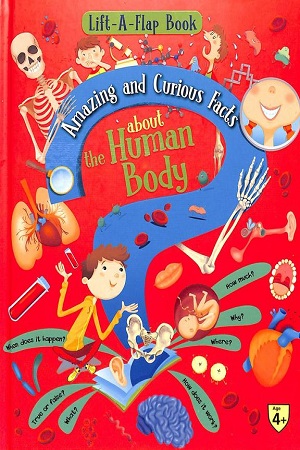 Amazing and curious facts about the Human body